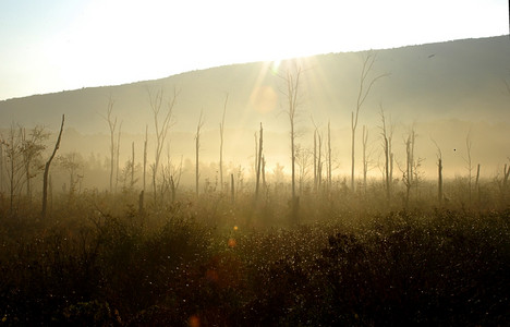 20100925-0006-Catskill_Sunrise.jpg